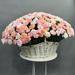 Композиция в корзине из 251 диантуса микс в Дедовске