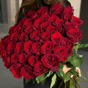 Букет 51 роза Эквадор Эксплорер (60 см) в Дедовске