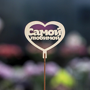 Топпер Самой Любимой в Дедовске