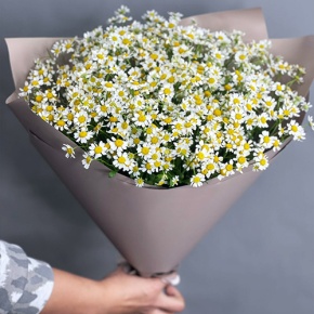 Букет из 17 ромашек танацетум в Дедовске