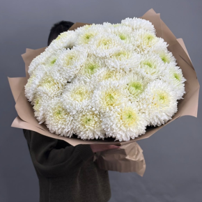 Букет из 27 хризантем Магнум в Дедовске