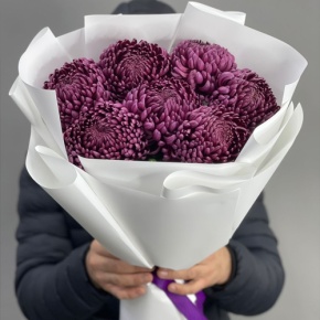 Букет "Винная легенда" из 7 хризантем Бигоуди в Дедовске