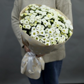 Букет "Милая моя" из 17 хризантем сантини в Дедовске