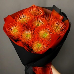 Букет из 9 лейко в Дедовске