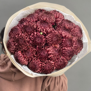 Букет 21 шоколадной хризантемы Бигоуди в Дедовске