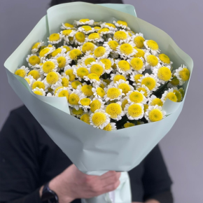 Букет "Моё солнышко" из 17 хризантем сантини  в Дедовске