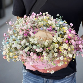 Композиция в коробке сердца из радужных гипсофил с топпером в Дедовске