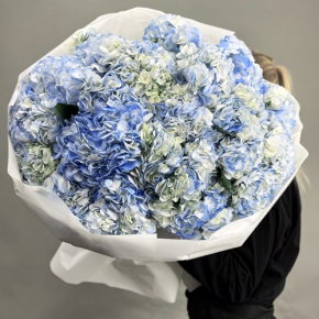 Букет из 23 синих гортензий в Дедовске