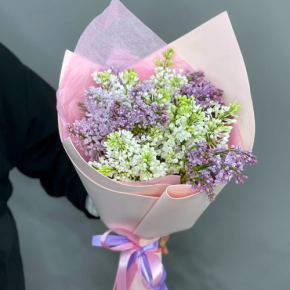 Букет из 11 веток сирени микс в Дедовске
