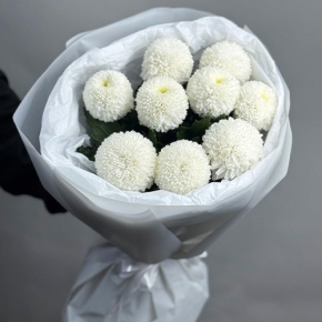 Букет из 9 белых хризантем Момоко в Дедовске
