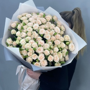 Букет из 25 кремовых кустовых роз (70 см) в Дедовске