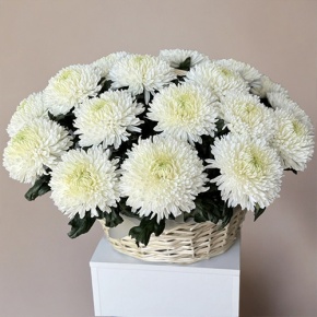 Композиция в корзине из 25 хризантем Магнум в Дедовске