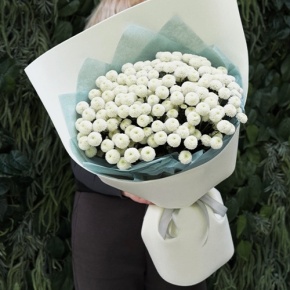 Букет из 25 хризантем Ньютон в Дедовске