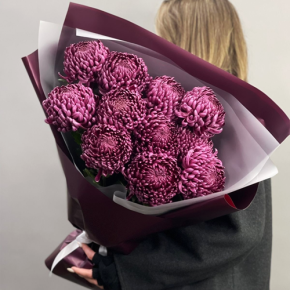 Букет "Изобилие" из 11 винных хризантем Бигоуди в Дедовске