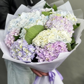 Букет из 9 Голландских гортензий микс в Дедовске