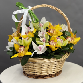 Композиция в корзине из 25 орхидей микс в Дедовске