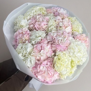 Букет из 17 нежных гортензий в Дедовске