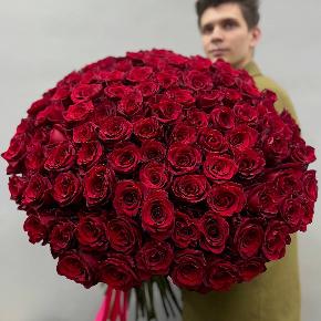 Букет из 101 красной Эквадорской розы Эксплорер (70 см) в Дедовске