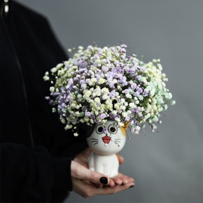 Композиция из гипсофил в керамическом кашпо в Дедовске