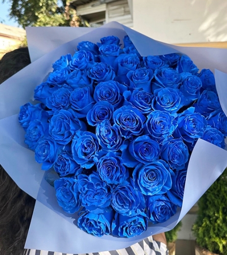 Букет из 51 синей розы Эквадор (60 см) в Дедовске