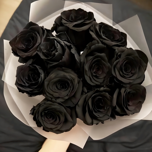 Букет "Черная королева" из 11 черных роз Эквадор (60 см) в Дедовске