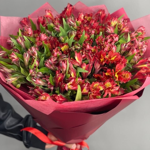 Монобукет из 25 красных альстромерий в Дедовске