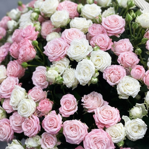 Композиция в корзине из 101 кустовой пионовидной розы в Дедовске