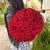 Букет 51 красной розы 50 см в Дедовске Букет 51 красной розы 50 см в Дедовске