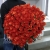 Букет 101 коралловая роза (60 см) в Дедовске