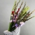 Букет из 25 гладиолусов микс в Дедовске Букет из 25 гладиолусов микс в Дедовске