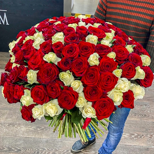 Букет 151 роза красный и белый микс (60 см) в Дедовске
