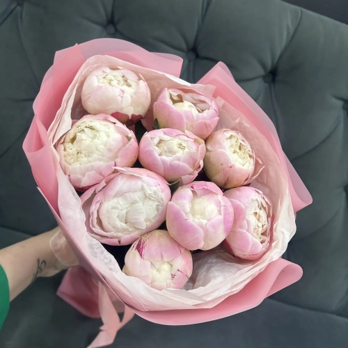 Букет из 9 нежных пионов Гардения в Дедовске
