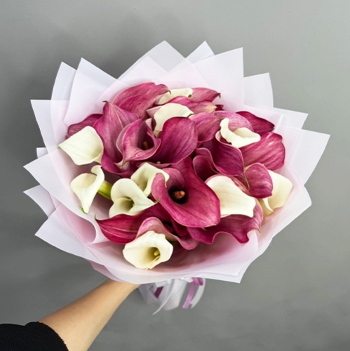 Букет из 25 нежных калл в Дедовске