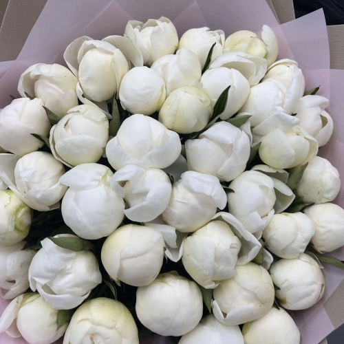 Букет из 39 белых пионов Дюшес в Дедовске