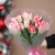 Букет "Фламинго" из 11 пионовидных тюльпанов в Дедовске Букет "Фламинго" из 11 пионовидных тюльпанов в Дедовске