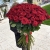 Букет из 101 красной розы (90 см) в Дедовске Букет из 101 красной розы (90 см) в Дедовске