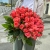 Букет 51 роза коралл (60 см) в Дедовске Букет 51 роза коралл (60 см) в Дедовске
