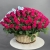 Композиция в корзине из 151 малиновой розы в Дедовске Композиция в корзине из 151 малиновой розы в Дедовске