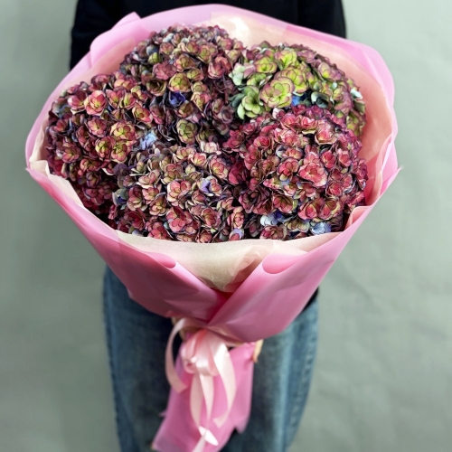 Букет из 5 космических Голландских гортензий в Дедовске