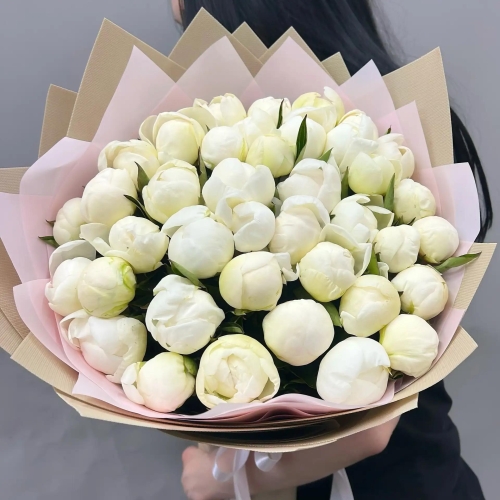 Букет из 39 белых пионов Дюшес в Дедовске