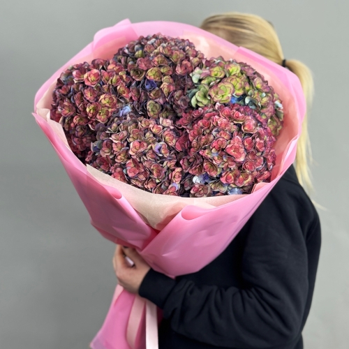 Букет из 5 космических Голландских гортензий в Дедовске